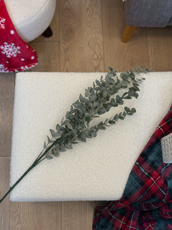 عرق اخضر مغبر