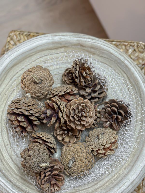 مجموعة صنوبر